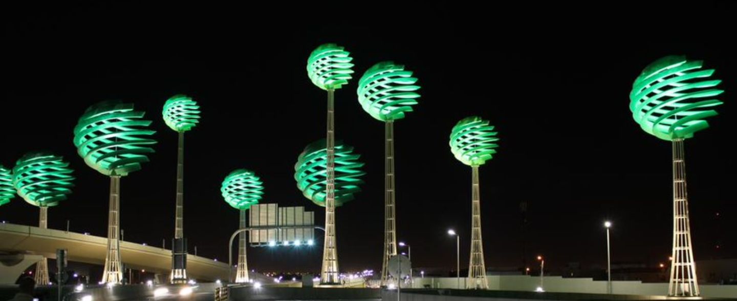 Remarkable structures, the challenge of creating a forest in the desert