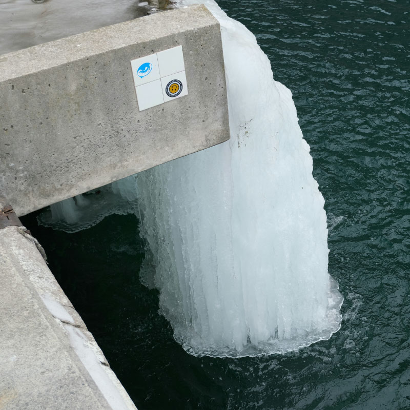 Regeneración hídrica