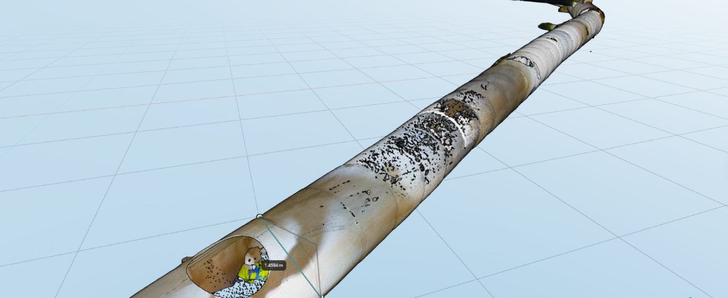 Laser Scanner