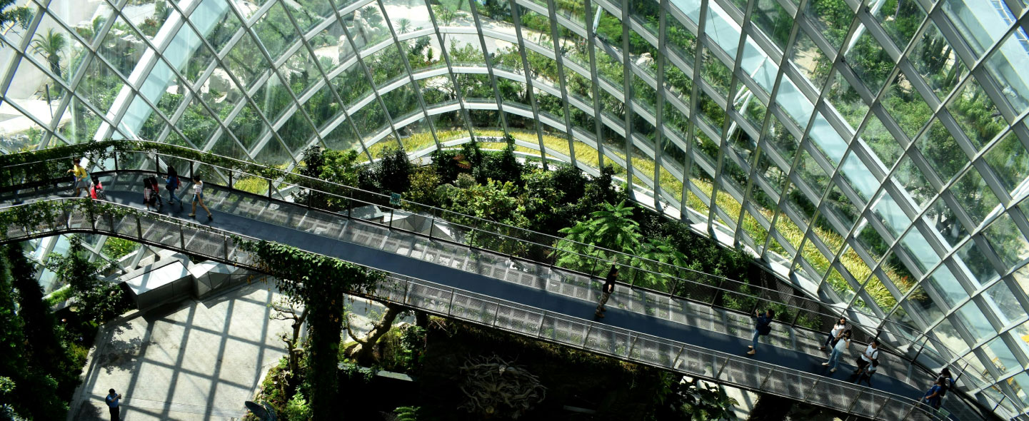 Sostenibilidad Green Trust Sostenibilidad Green Trust