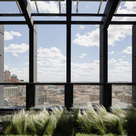 Sostenibilidad Green Trust