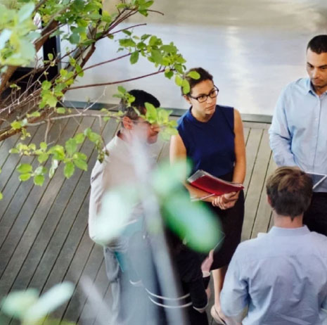 Sostenibilidad Green Trust