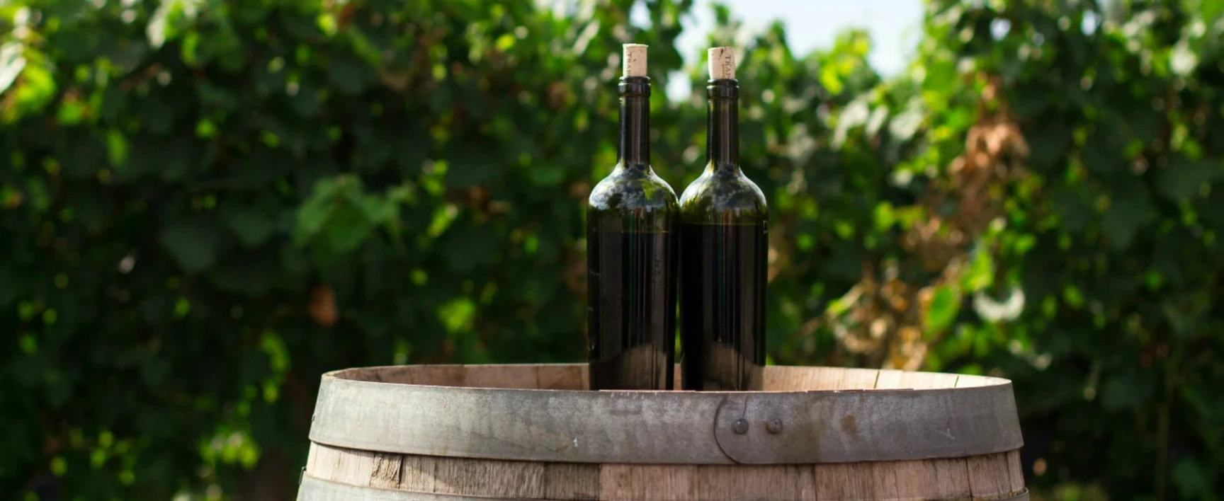 Sostenibilidad en Bodegas