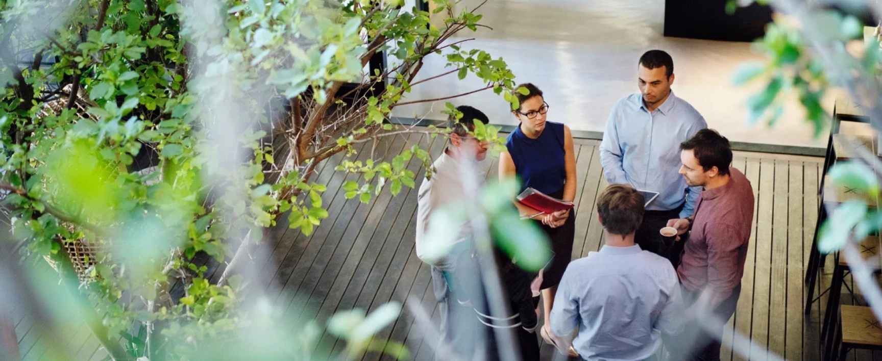 Declaración de E-accesibilidad