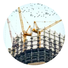 adaptación medio ambiente