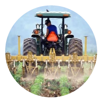 Ganadería y Agricultura