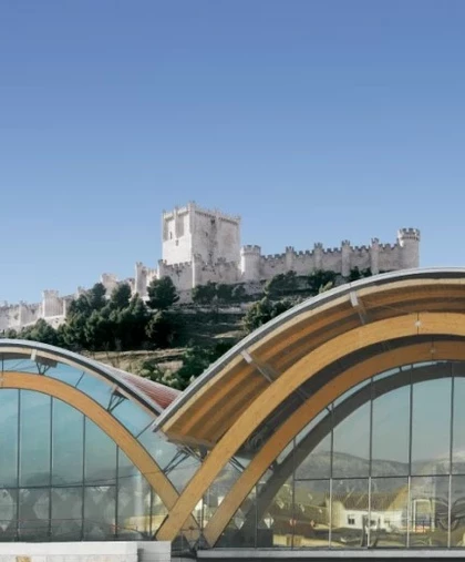 bodegas-protos-penafiel